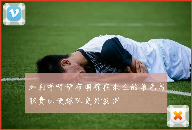 加利呼吁伊布明确在米兰的角色与职责以便球队更好发挥